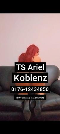 Ts ariel aus Kassel